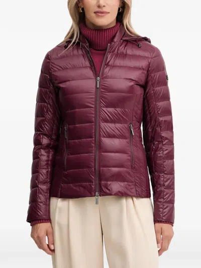 Armani Exchange Hooded Puffer Jacket In Burgundy