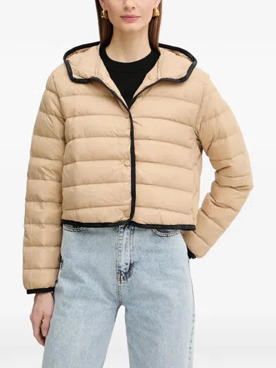 Armani Exchange Hooded Quilted Jacket In Neutral