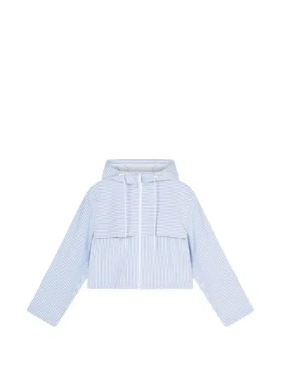 Armani Exchange Hooded Striped Jacket In Blue