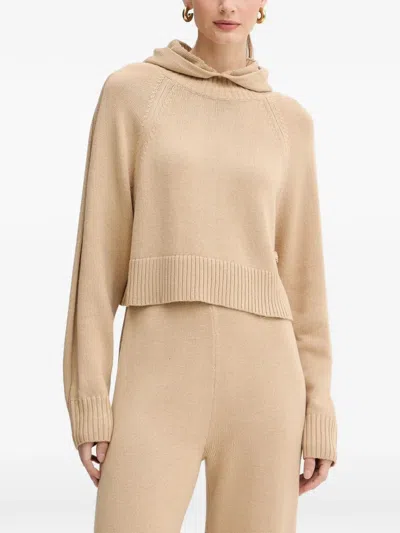 Armani Exchange Hooded Sweater In Neutral