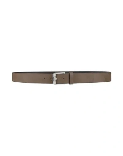 Armani Exchange Man Belt Khaki Size Onesize Cow Leather In Beige
