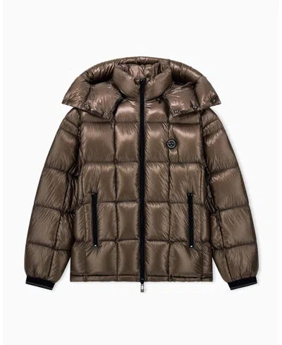 Armani Exchange Men's Nylon Metallic Shine Down Hood With Jacket In Falcon