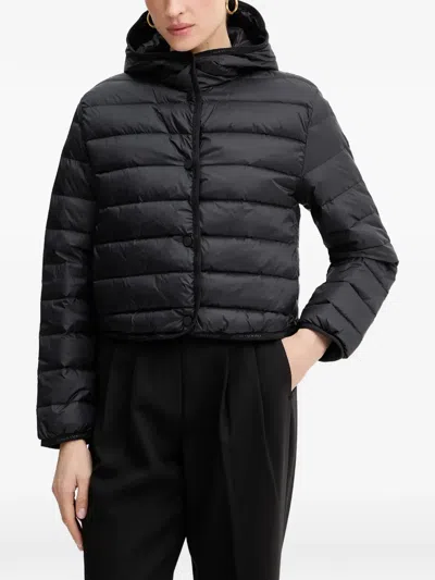 Armani Exchange Quilted Hooded Jacket In Multi