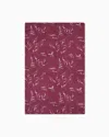 Armani Exchange Scarves In Brown