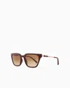 Armani Exchange Sunglasses In Burgundy