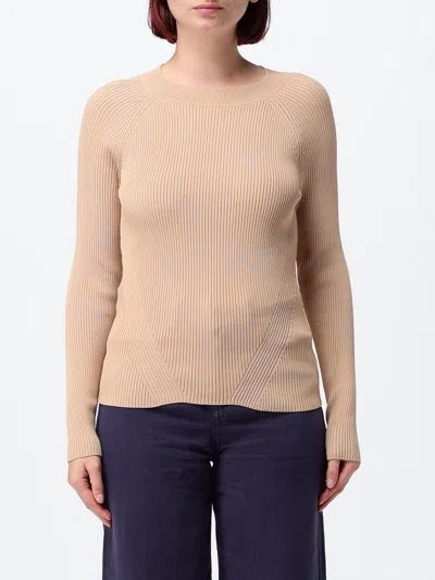 Armani Exchange Ribbed Viscose Knit Top In Brown