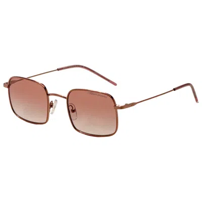 Armani Exchange Women's Sunglasses In Pink