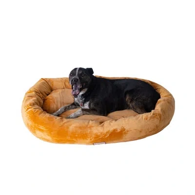 Armarkat Doughnut In Brown