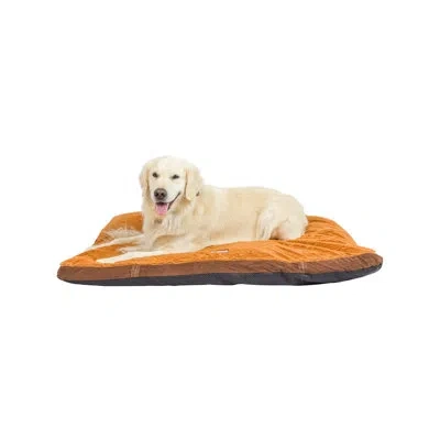 Armarkat Mocha Dog Pillow In Earth Brown
