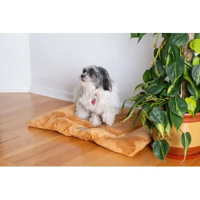 Armarkat Soft Velvet Dog Mat In Brown
