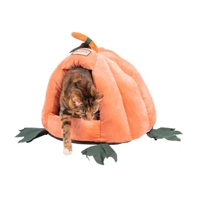 Armarkat Specialty Cat Bed In Orange