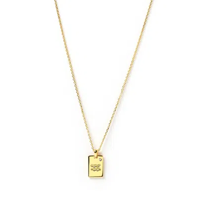 Arms Of Eve Women's Aquarius Zodiac Gold Tag Necklace