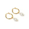 Arms Of Eve Women's Augusta Gold Hoop & Freshwater Pearl Earrings - Gold In Gold