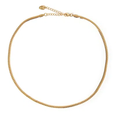 Arms Of Eve Women's Dominique Gold Chain Necklace In Yellow