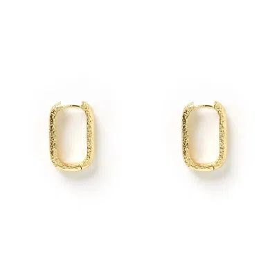 Arms Of Eve Women's Farrah Gold Link Earrings