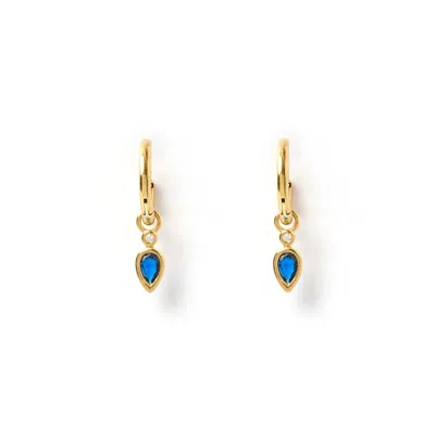 Arms Of Eve Women's Gold / Blue Daisy Gold Earrings - Sapphire In Multi