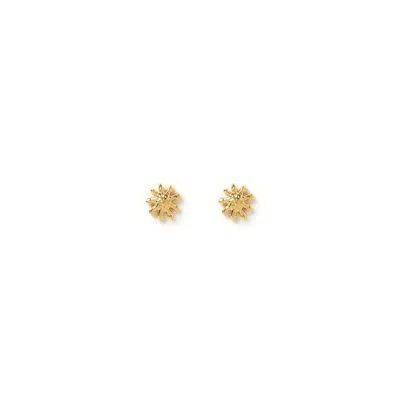 Arms Of Eve Women's Magnolia Gold Studs