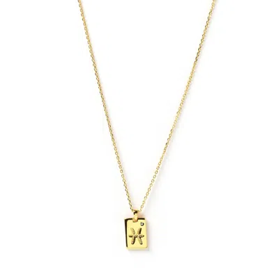 Arms Of Eve Women's Pisces Zodiac Gold Tag Necklace