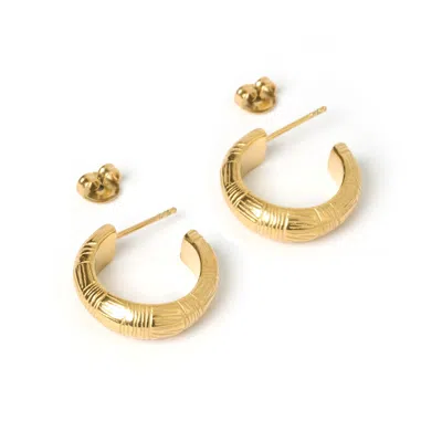 Arms Of Eve Women's Sadie Gold Earrings