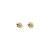 Arms Of Eve Women's Shelli Gold Studs