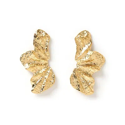 Arms Of Eve Women's Stassia Gold Earrings