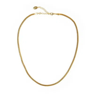 Arms Of Eve Women's Sylvia Gold Snake Chain Necklace