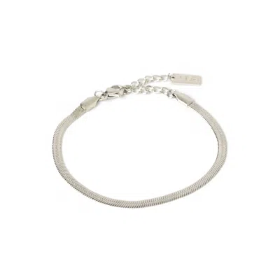 Arms Of Eve Women's Sylvia Silver Snake Chain Bracelet