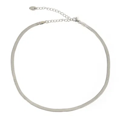 Arms Of Eve Women's Sylvia Silver Snake Chain Necklace