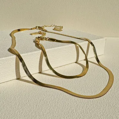 Arms Of Eve Women's Sylvia Snake Chain Bundle - Gold