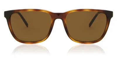 Arnette An4291 Polarized 277083 Occhiali Da Sole Tartarugatishell Per Uomo In Brown