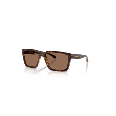 Arnette Plot Twist An4346 277073 In Brown
