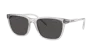 Arnette Man Sunglass An4291 Cortex In Gray