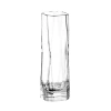 Arnolfo Di Cambio Shot Glass Cibi Set Of 2 In Transparent