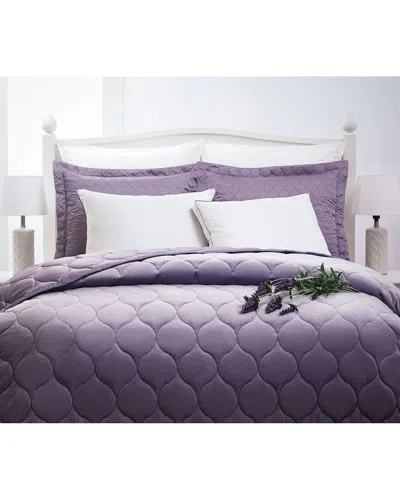 AROMATHERAPY ALLIED HOME LAVENDER SCENTED AROMATHERAPY GUSSETED PILLOW