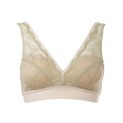 Aromatique Women's Green Filoscozia Cotton & Lace Triangle Bra In Gold