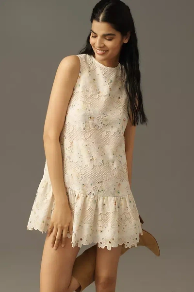 Arose Studio Ava Sleeveless Lace Shift Mini Dress In Sand