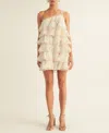Arose Studio, Inc Women's Olivia Printed Tiered Sleeveless Shift Dress