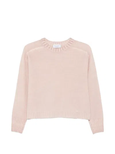 Arovescio Crew-neck Sweater In Pink