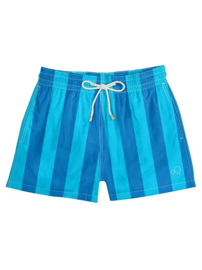 Arrels Barcelona Men's Beach House Striped Drawstring Regular-fit Swim Shorts In Animal Print