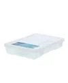 Art Alternatives Artist Organizer Box, 16" In Clear