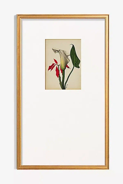 Art Patron Calla Lily Wall Art In Neutral