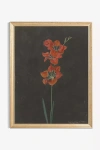 Art Patron Lily Wall Art