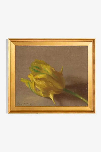 Art Patron Tulip Wall Art