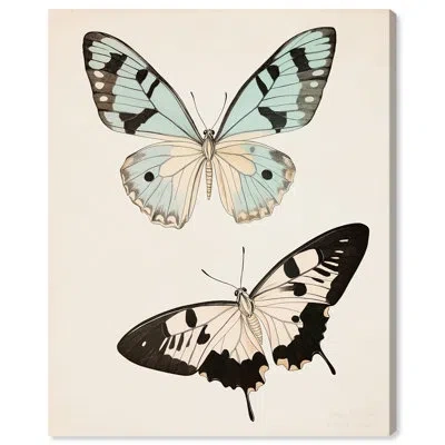 Art Remedy Aniseed Anatomy Ii Canvas Spring Floral Art By  In Gallery Wrapped