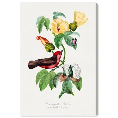 Art Remedy Botanical Prints Canvas, Ruby Voucherelle In Does Not Apply,wrapped Canvas