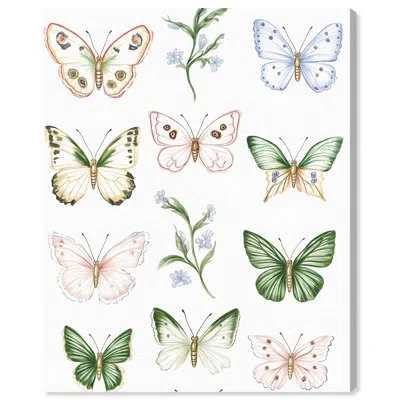 Art Remedy Butterfly Collection Canvas Print Floral Art By  In Gallery Wrapped
