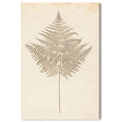 Art Remedy Fern Frond Canvas Print Botanical Art By  In Gallery Wrapped