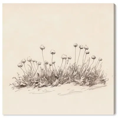 Art Remedy Fleeting Shadows Of Spring Canvas Vintage Botanic Art By  In Wrapped Canvas