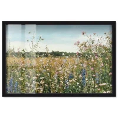 Art Remedy Glimmering Glade Garden Ii Shadowbox Print Landscape Wall Art By  In Black
