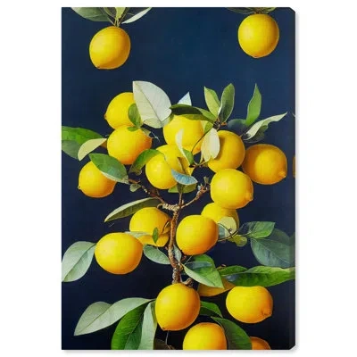 Art Remedy Lemons In Full Bloom Canvas Lemon Themed Wall Art By  In Wrapped Canvas